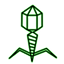 Craftitude ingredient virus