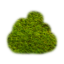 Craftitude ingredient moss