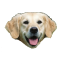 Craftitude ingredient dog