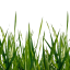 Craftitude ingredient grass