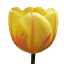 Craftitude ingredient tulip