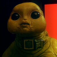 Slitheen Family Tardis Fandom