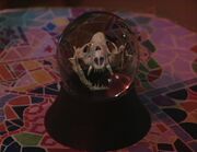 Snakedance crystal ball