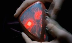 Arcateenian communicator