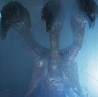 The 456 Tardis Fandom