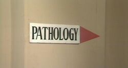 Pathology