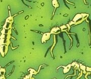 Springtail (Blood and Ice)