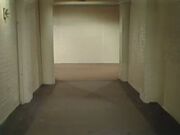 Art gallery without art
