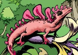 Rokhandi lizard
