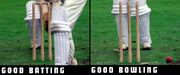 Stump comparison