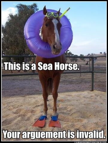File:Sea horse.jpg