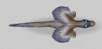Bambiraptor