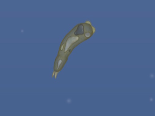 rotifer tasty planet wiki