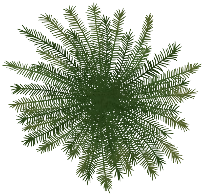 Image - Palm Tree.png | Tasty Planet Wiki | FANDOM powered by Wikia for Palm Tree Top View Png
166kxo Image - Palm Tree.png | Tasty Planet Wiki | FANDOM powered by Wikia for Palm Tree Top View Png
166kxo