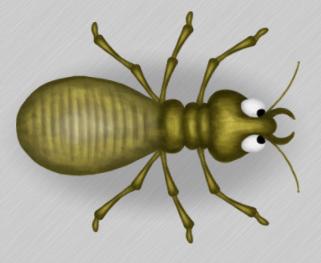 Termite