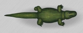 Deinosochus