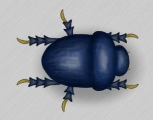Scarab