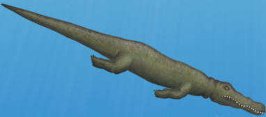 Crocodile