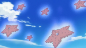 Estrellas de mar