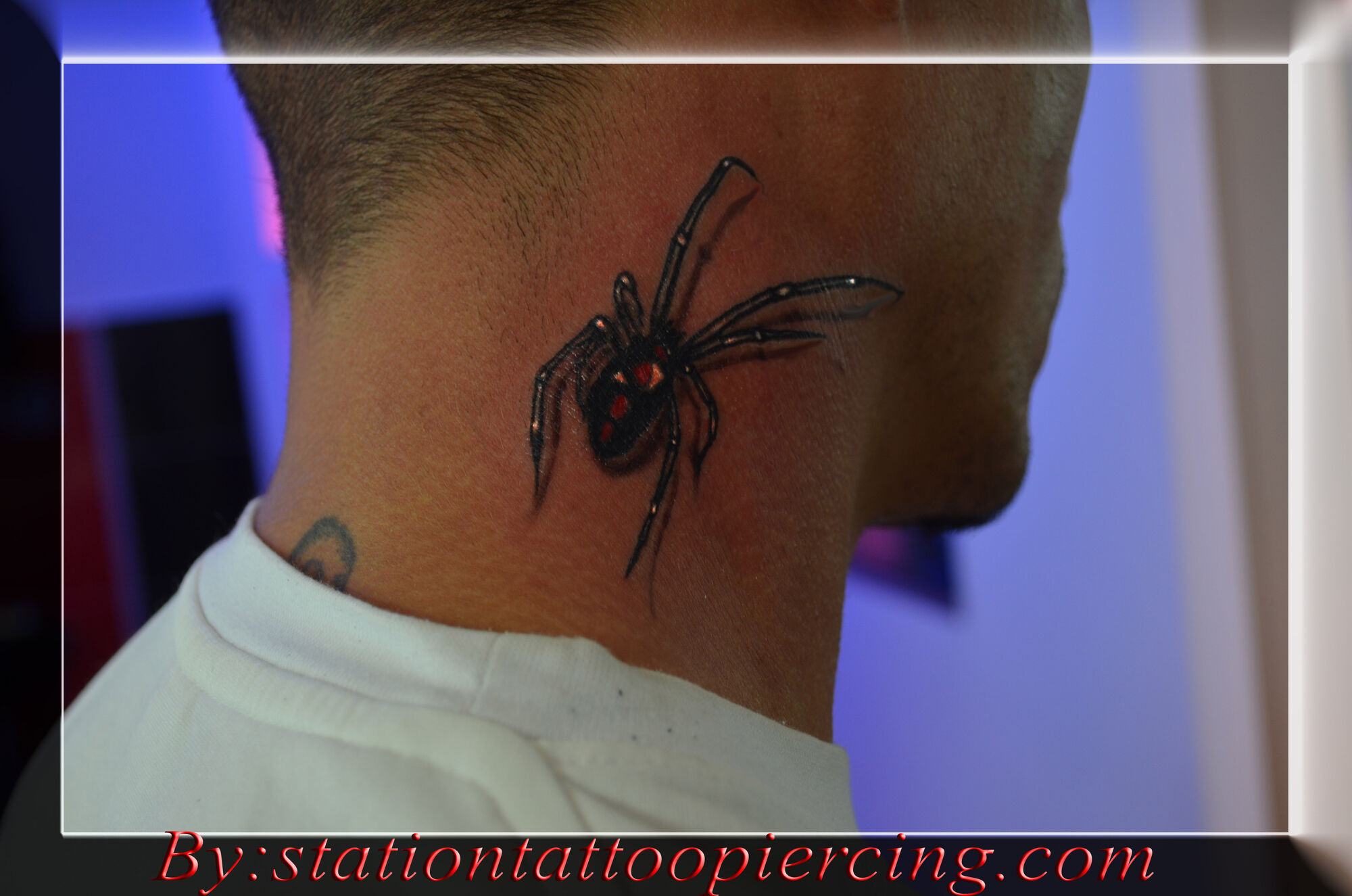 Image - Black widow spider tattoo 3d.jpg | Tattoos Wiki | FANDOM