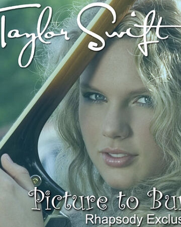 Picture To Burn Taylor Swift Wiki Fandom