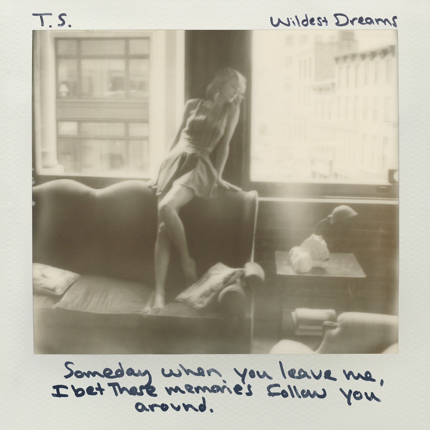 Wildest Dreams Taylor Swift Wiki Fandom