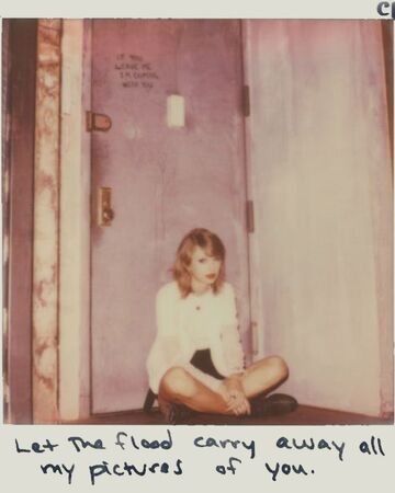 Clean Taylor Swift Wiki Fandom
