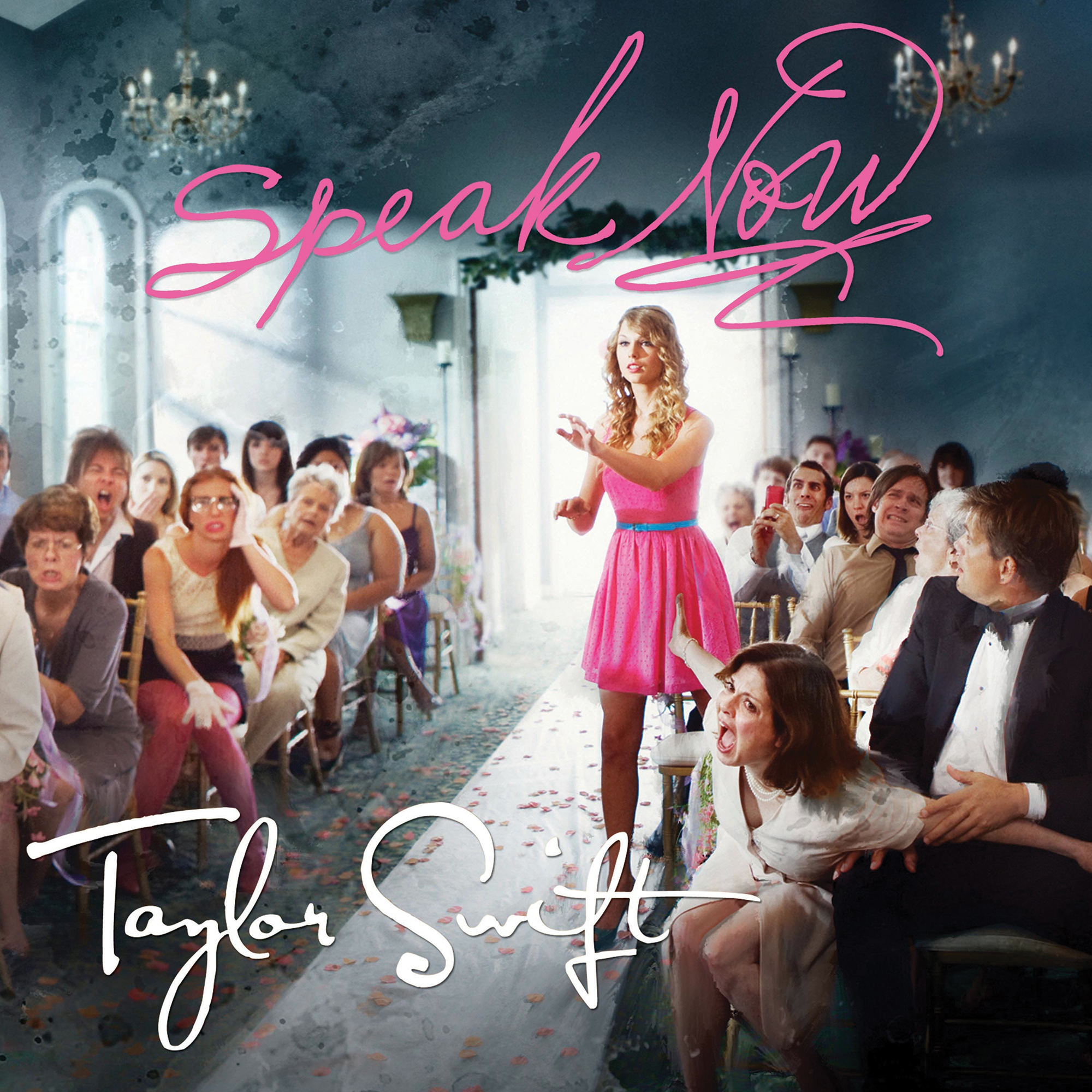 Speak Now Song Taylor Swift Wiki Fandom