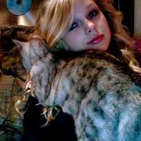 Pets Taylor Swift Wiki Fandom