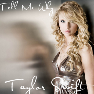 taylor swift tell me why fan made album art