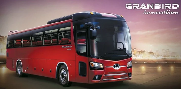 Kia grand bird