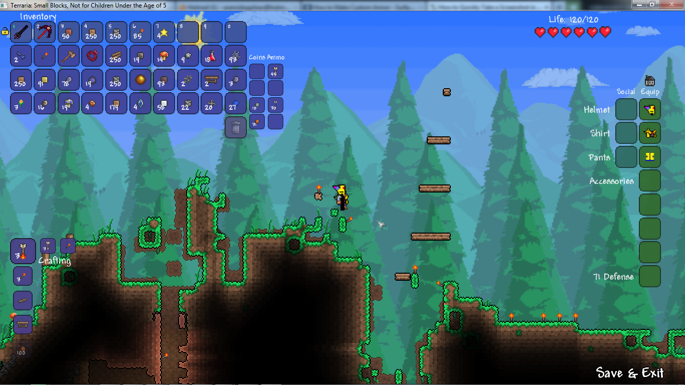 Journey player for terraria фото 21
