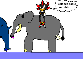 Shadow's stuffed elephant