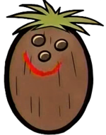 Sr.Côco