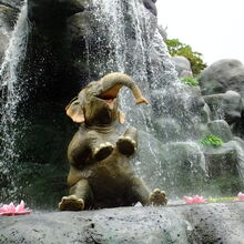 ジャングルクルーズ ワイルドライフ エクスペディション 東京ディズニーランド Wiki Fandom
