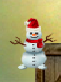 Snowman Guy.