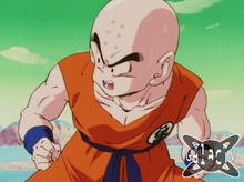 Krillin intervenes