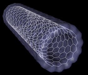 BuckyTube s
