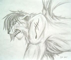 Drakat