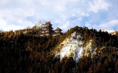 Landscape 7