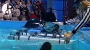 RoboduckvsTangoFinish tg02