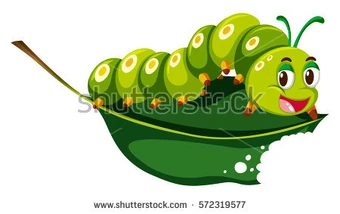 teddy ruxpin caterpillar name