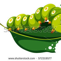 teddy ruxpin caterpillar name