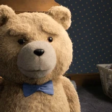 ted teddy