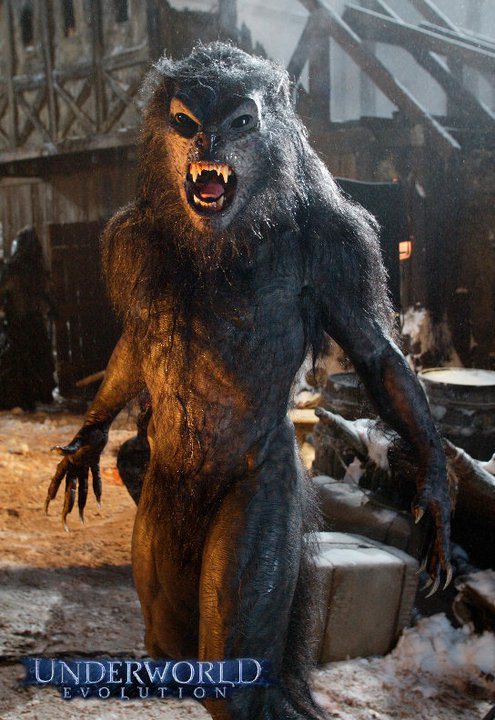 Lycan | Teen Wolf Universe Wikia | FANDOM powered by Wikia