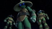 Die Drei Stürme Turtles