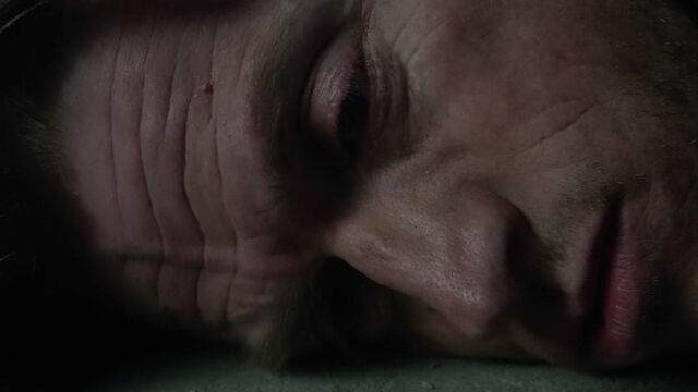 File:Gideon-Emery-Deucalion-face-Teen-Wolf-Season-6-Episode-19-Broken-Glass.jpg