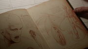 Teen Wolf Season 4 Episode 12 Smoke & Mirrors Bestiary pages
