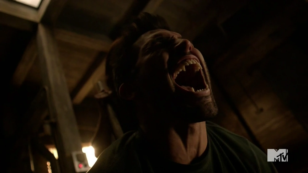 Im Auge Des Wolfes Staffel 2
