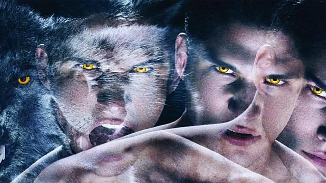Im Auge Des Wolfes Staffel 2